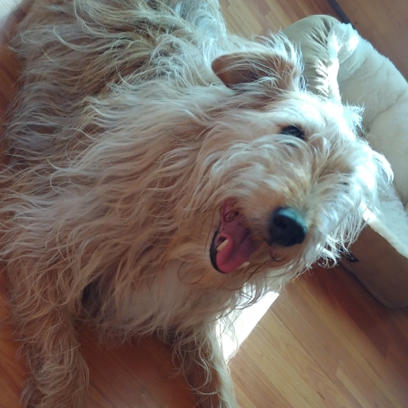 Meet your Posher, Jen - Picture 1 of 1